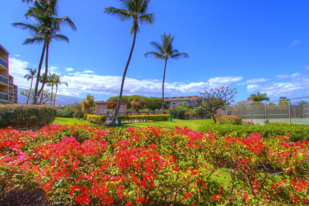 Maui Vista 3101 Apartman Kihei Kültér fotó